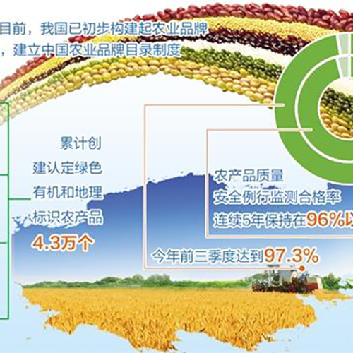 暂无图片
