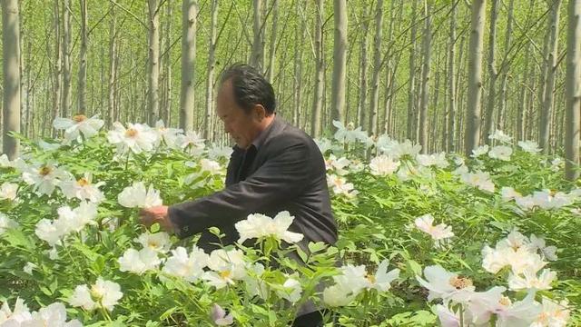暂无图片