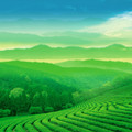 暂无图片