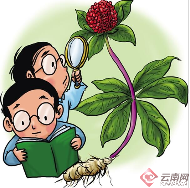 暂无图片
