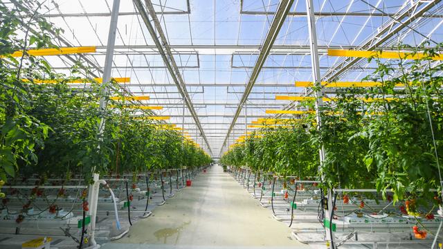 北京平谷打造农业科创示范区，大桃果农用上智能机器人