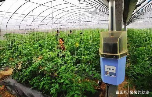 暂无图片