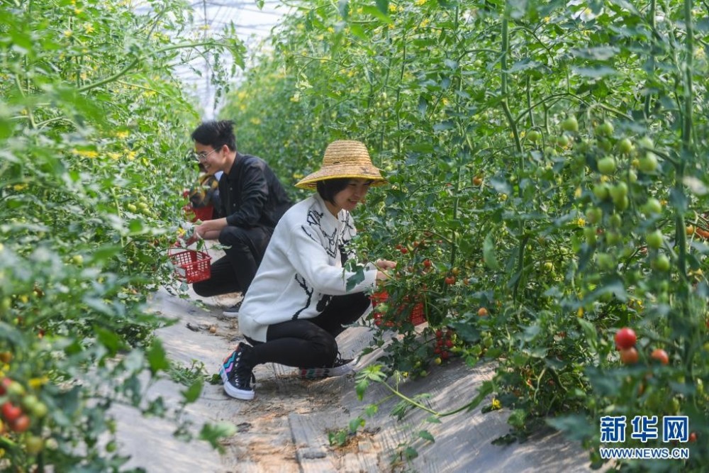 暂无图片